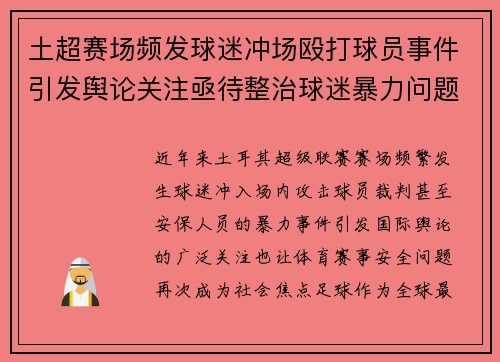 土超赛场频发球迷冲场殴打球员事件引发舆论关注亟待整治球迷暴力问题 土超赛场频发球迷冲场殴打球员事件引发舆论关注亟待整治球迷暴力问题